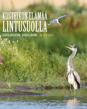 Kosteikon elämää lintusuolla Hahkialan kartano – Hahkiala Manor